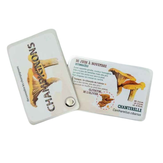 Carnet Champignons