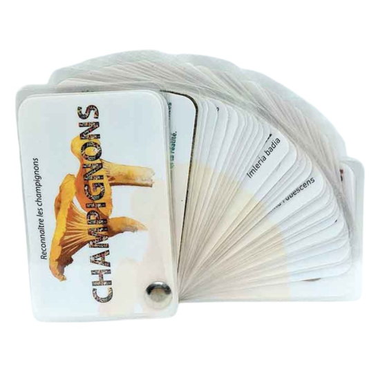 Carnet Champignons