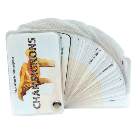 Carnet Champignons