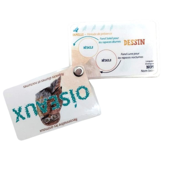 Carnet Rapaces