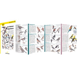 Miniguide 131 - Les oiseaux migrateurs