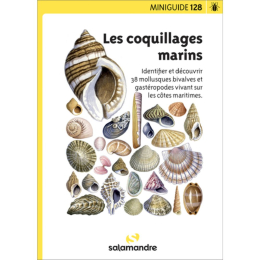 Miniguide 128 - Coquillages marins
