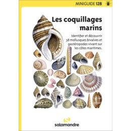 Miniguide 128 - Coquillages marins