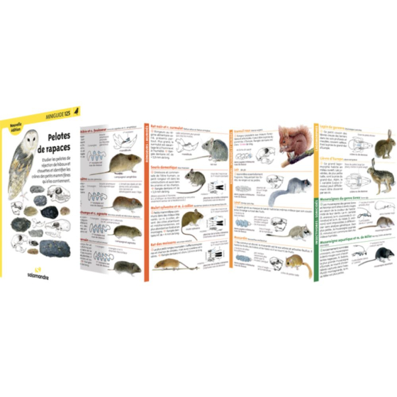 Miniguide 125 - Pelotes de rapaces