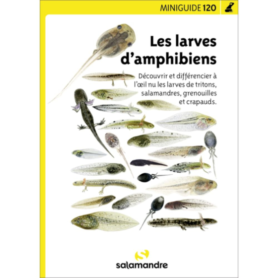 Miniguide 120 - Les larves d’amphibiens Miniguide 120 - Les larves d’amphibiens