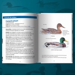 Les petits livres de la nature - Oiseaux des lacs