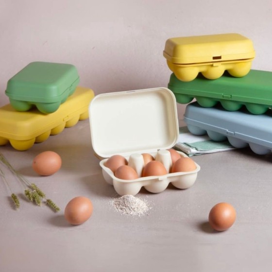 Boîte 10 oeufs coquille - Bleu