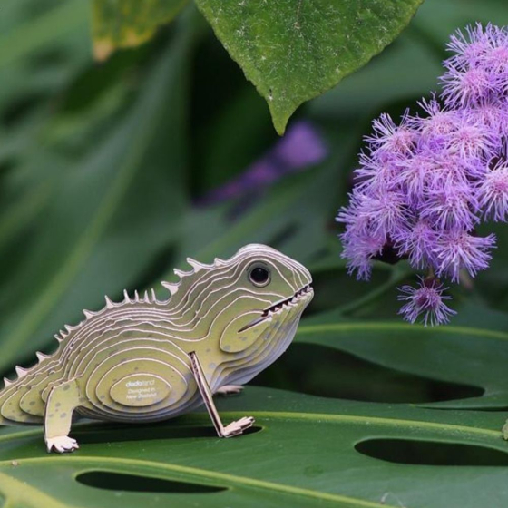 Tuatara – Eugy 3D