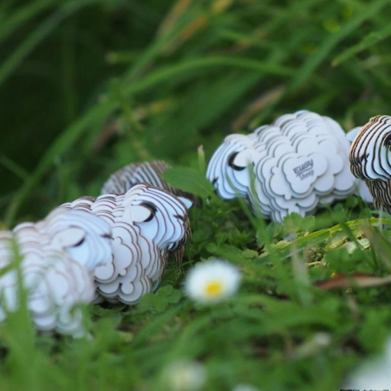 Mouton – Eugy 3D
