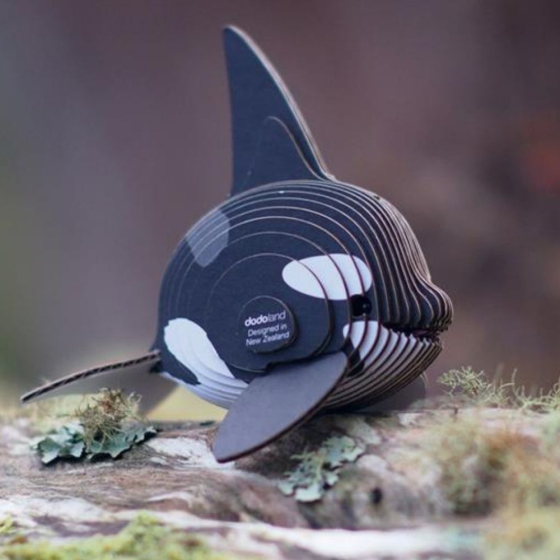 Orca – Eugy 3D
