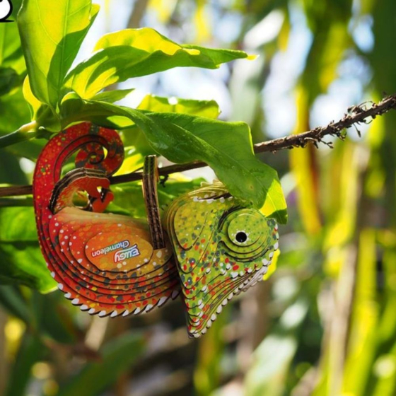 Caméléon – Eugy 3D