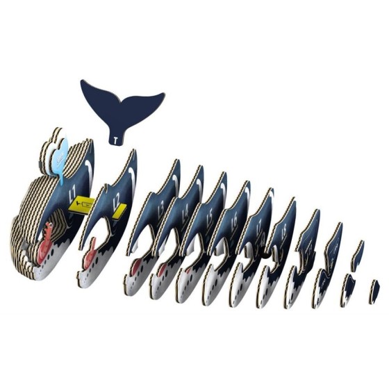 Baleine boréale – Eugy 3D