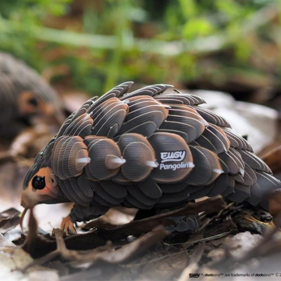 Pangolin – Eugy 3D