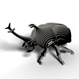 Scarabée rhinocéros – Eugy 3D