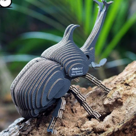 Scarabée rhinocéros – Eugy 3D