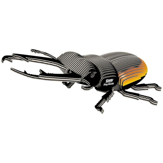 Coléoptère Lucanidae – Eugy 3D