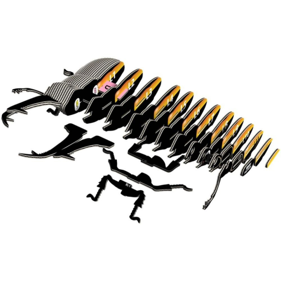 Coléoptère Lucanidae – Eugy 3D