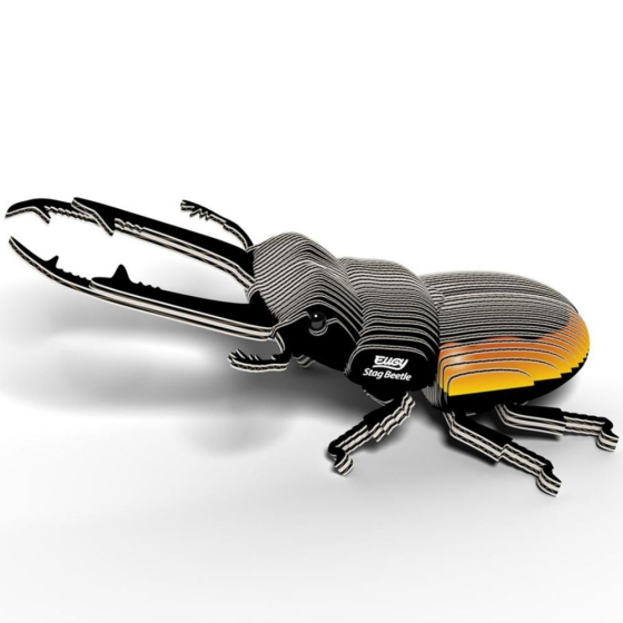 Coléoptère Lucanidae – Eugy 3D