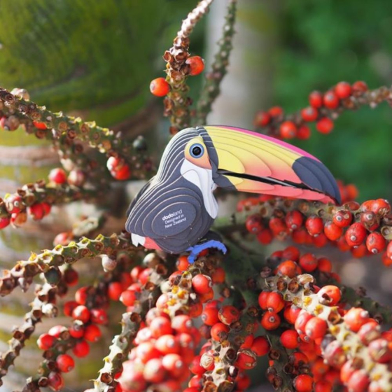 Toucan – Eugy 3D