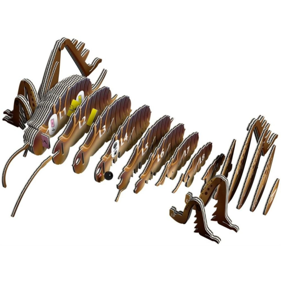 Sauterelle – Eugy 3D
