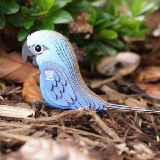 Ara de Spix – Eugy 3D