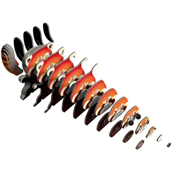 Panda roux – Eugy 3D