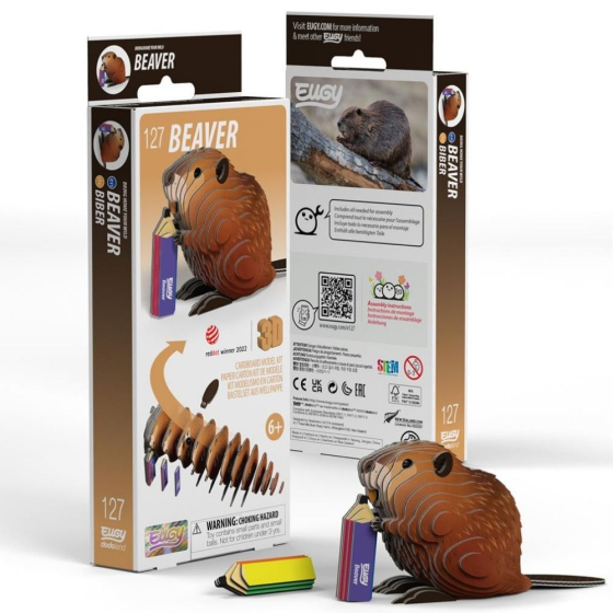 Castor – Eugy 3D