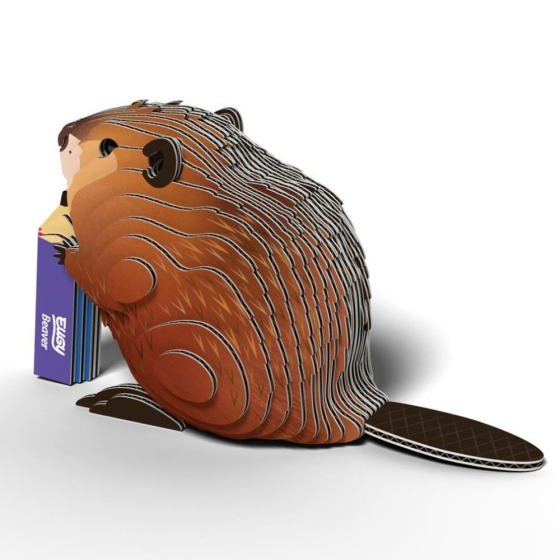 Castor – Eugy 3D