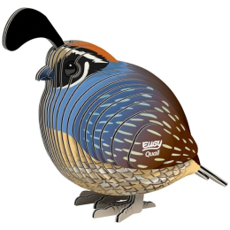 Caille – Eugy 3D