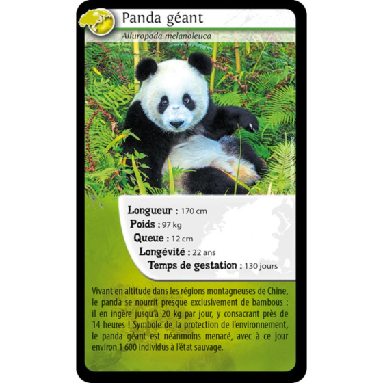 Mako moulages - Le panda géant