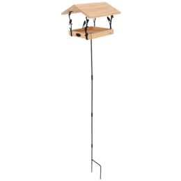 Pouillot véloce mangeoire sur pied