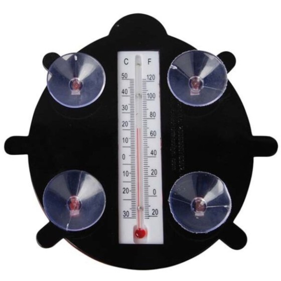 Thermomètre Coccinelle