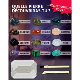 Mini coffret - Pierres précieuses et minéraux
