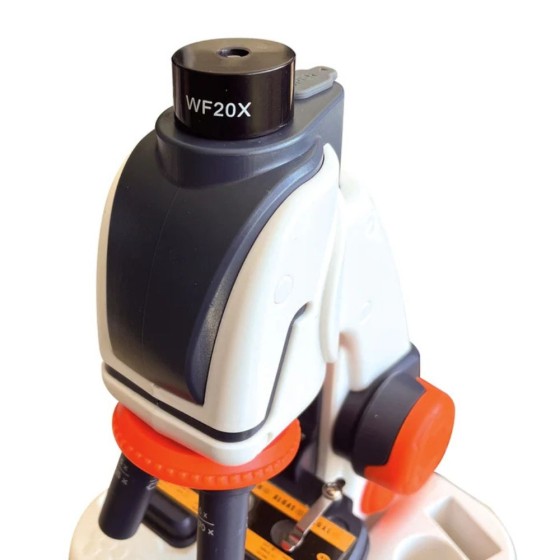Microscope Digital
