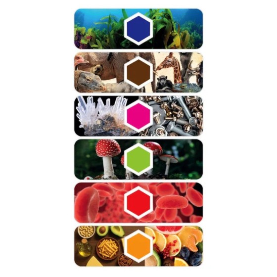 Microscope Digital