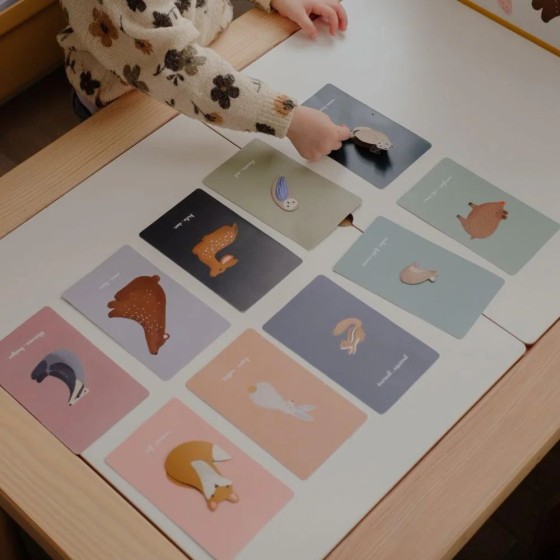 Jeu magnétique animaux forêt