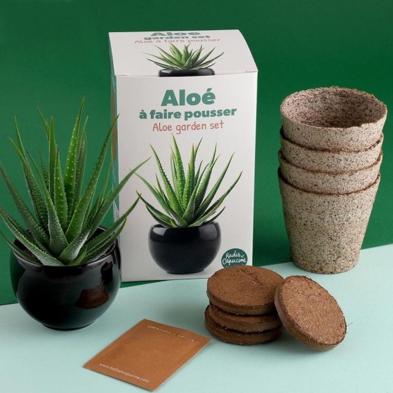 Kit Aloe Vera
