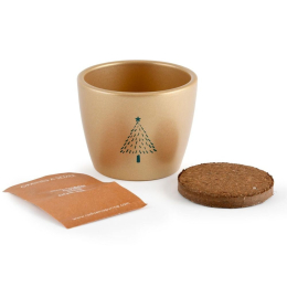 Kit Noël - Pot doré 8cm - Epicéa - Série Limitée