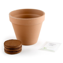 Pot Terre cuite Antique - Fraisier