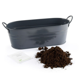 Jardinière zinc noir 30 cm - Fraisier