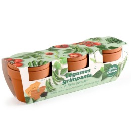 Trio pot légumes grimpants pour balcon – Tomate / Haricot maxi cosse verte / Poi