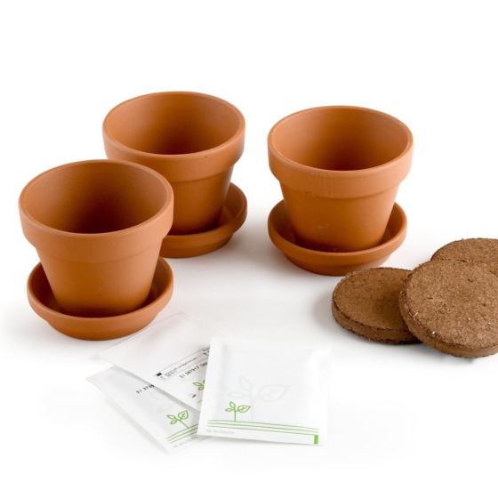 Trio pot légumes grimpants pour balcon – Tomate / Haricot maxi cosse verte / Poi Trio pot légumes grimpants pour balcon – Tomate / Haricot maxi cosse verte / Poi