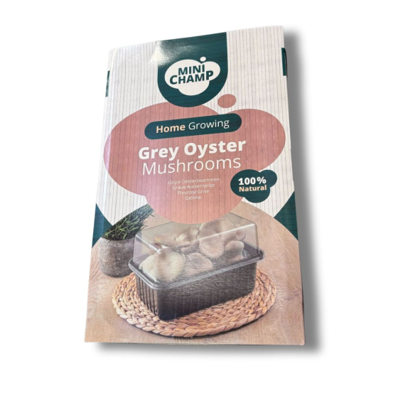 Kit culture Pleurotes gris Minichamp 3 litres