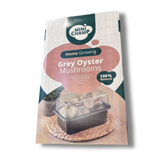 Kit culture Pleurotes gris Minichamp 3 litres Kit culture Pleurotes gris Minichamp 3 litres