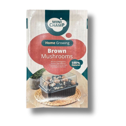 Kit culture champignons bruns Minichamp 3 litres