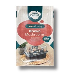 Kit culture champignons bruns Minichamp 3 litres