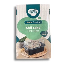 Kit culture Shii-take Minichamp 3 litres
