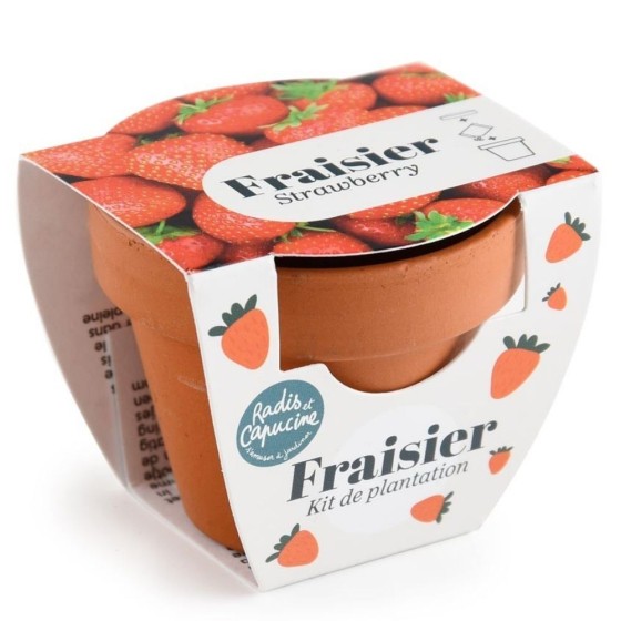 Mini kit 6 cm - Fraise