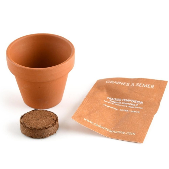 Mini kit 6 cm - Fraise