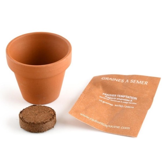 Mini kit 6 cm - Fraise